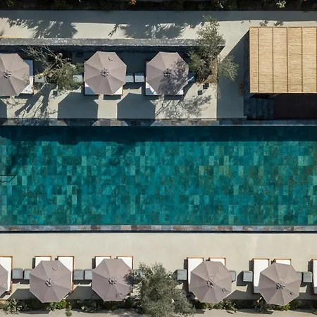 Istoria, A Member Of Design Perivólosz