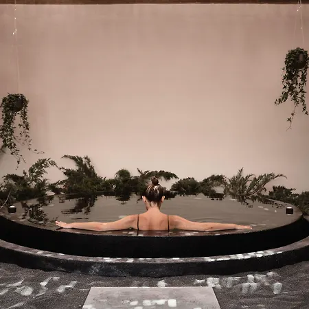 Istoria, A Member Of Design