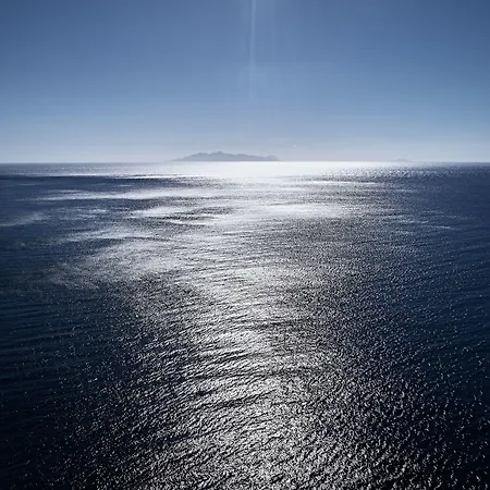 Istoria, A Member Of Design