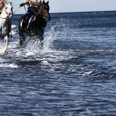 Hotel Istoria, A Member Of Design