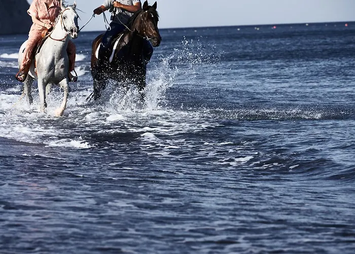 Hotel Istoria, A Member Of Design