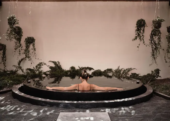 Istoria, A Member Of Design