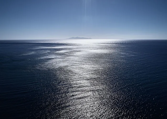 Istoria, A Member Of Design